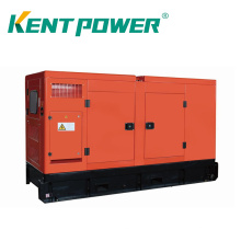 Low Consumption 40kw/50kVA Biogas Generator Electric Green Genset Power Plant Used